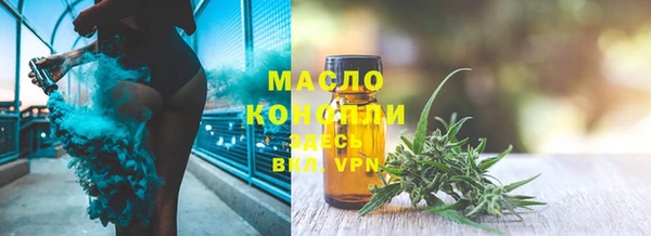 соль ск Гусев