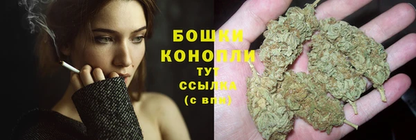 гидра Гусиноозёрск