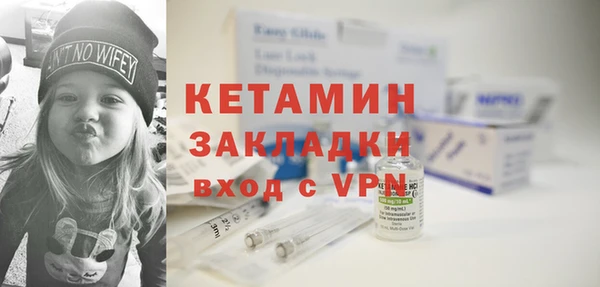 гидра Гусиноозёрск
