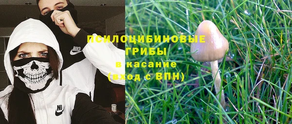 ешки Гусь-Хрустальный