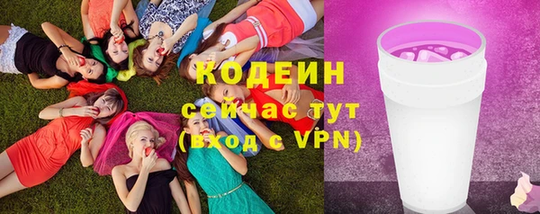гидра Гусиноозёрск