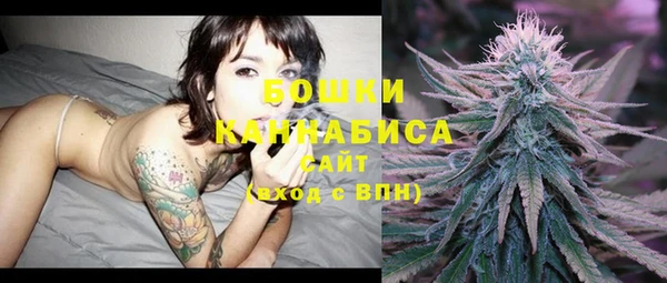 ешки Гусь-Хрустальный