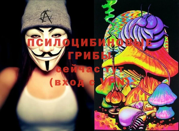 гидра Гусиноозёрск