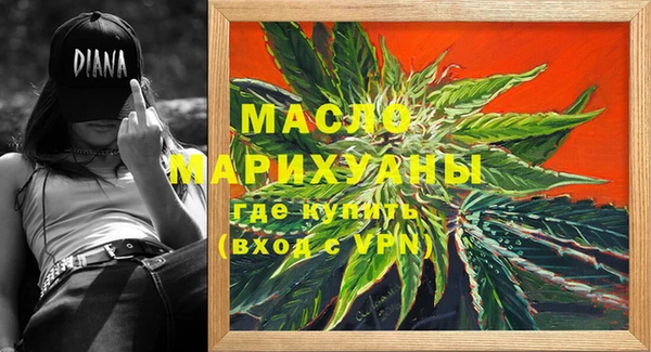 гидра Гусиноозёрск