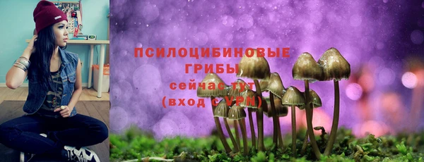 соль ск Гусев