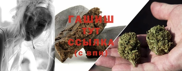 гидра Гусиноозёрск
